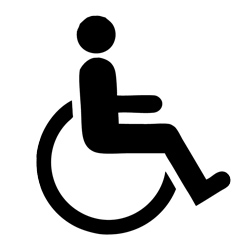 Limited Mobility Access